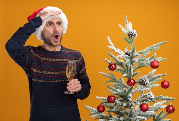 Impressionato giovane uomo caucasico che indossa il cappello di Natale in piedi vicino all'albero di Natale decorato tenendo il bicchiere di champagne guardando il lato in lontananza isolato sulla parete arancione