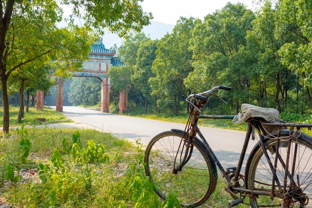 In bici in un parco primaverile