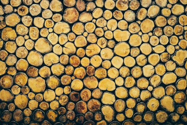 in legno Log