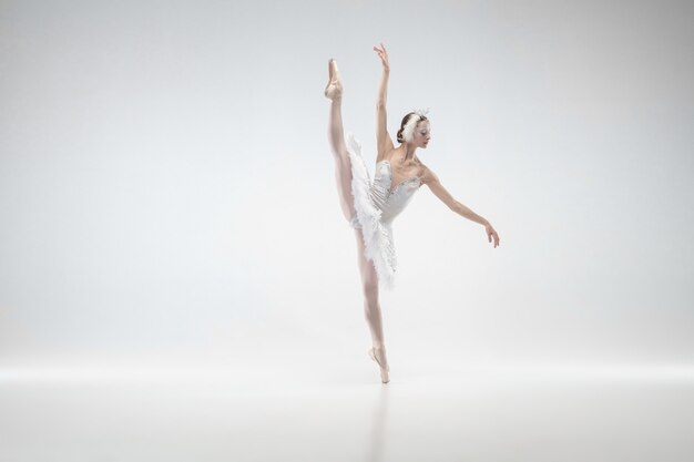 In movimento. Giovane ballerina classica graziosa che balla sul fondo bianco dello studio. Donna in abiti teneri come un cigno bianco. La grazia, l'artista, il movimento, l'azione e il concetto di movimento. Sembra senza peso.