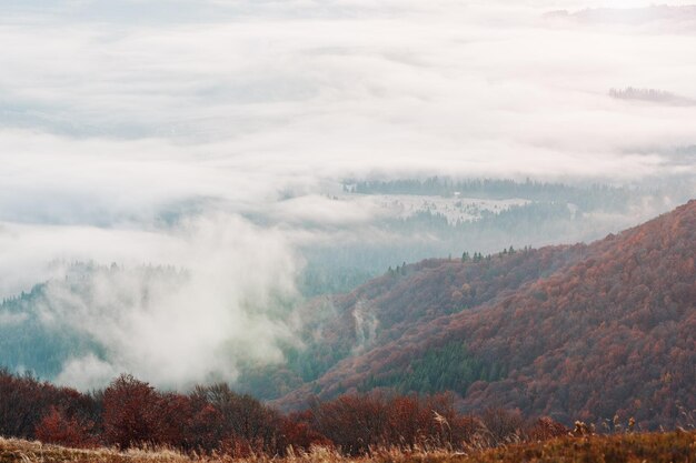 Incredibile paesaggio pittoresco delle montagne dei Carpazi sulla nebbia Bellezza del mondo