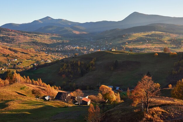 Incredibile scenario di mattina d'autunno in montagna con prato e alberi colorati in primo piano e nebbia sotto i piedi.