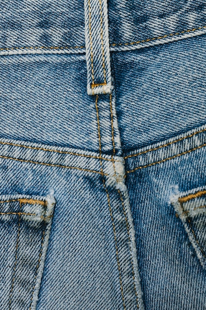 Indietro del primo piano dei jeans