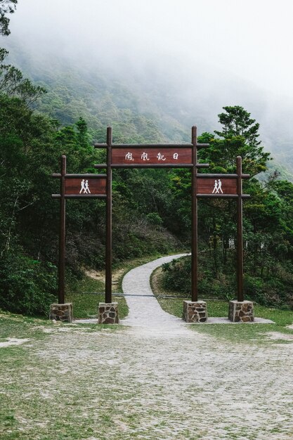 Ingresso alle foreste pluviali asiatiche