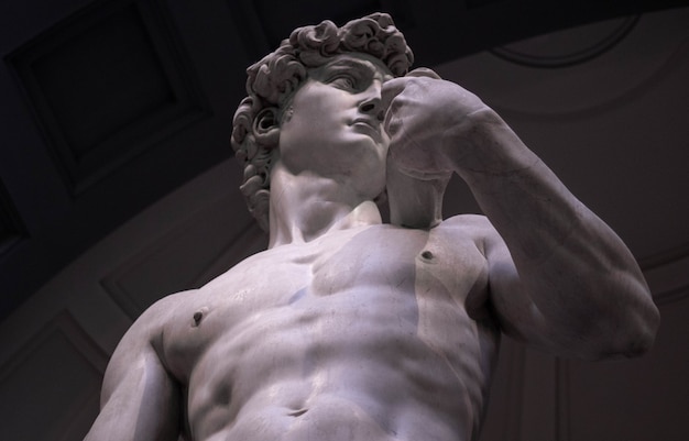Inquadratura dal basso del David di Michelangelo nella Galleria dell'Accademia di Firenze