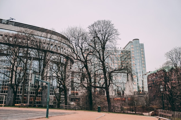 Inquadratura dal basso del parco del Parlamento europeo di Bruxelles