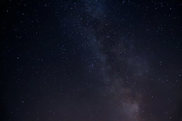 Inquadratura dal basso dell'incantevole cielo stellato