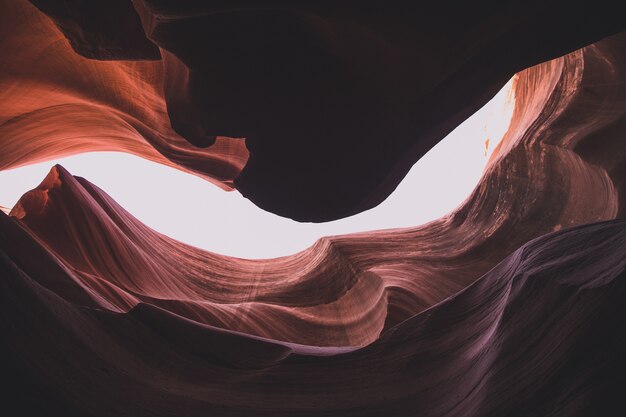 Inquadratura dal basso di incredibili formazioni di arenaria in Slot Canyon nello Utah