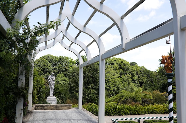 Inquadratura dal basso di un arco da giardino in legno bianco