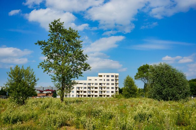 Inquadratura dal basso di un campo con fiori di campo e un edificio moderno sotto un cielo blu con nuvole