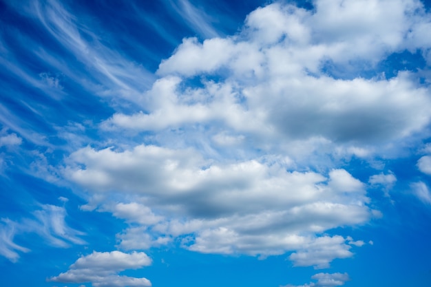 Inquadratura dal basso di un cielo nuvoloso blu durante il giorno