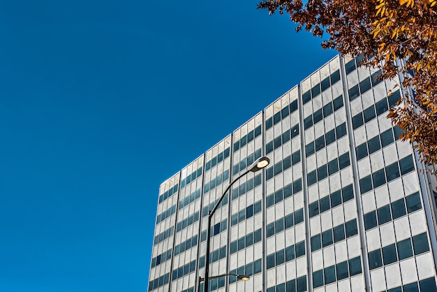 Inquadratura dal basso di un edificio in vetro alto vicino agli alberi sotto un cielo nuvoloso blu