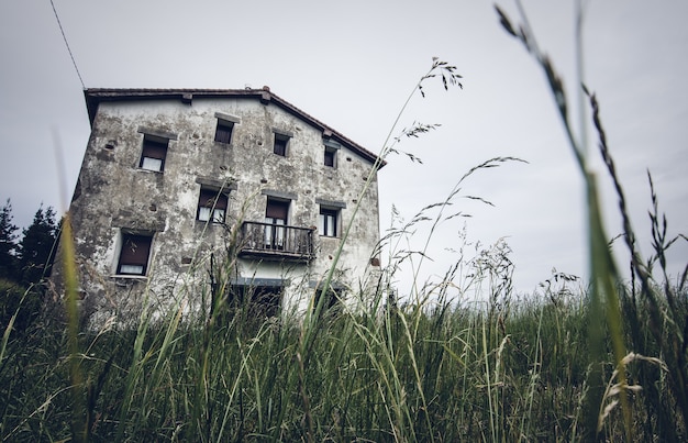 Inquadratura dal basso di un edificio nel mezzo di un campo erboso verde