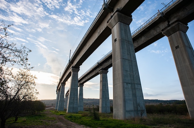 Inquadratura dal basso di un ponte in cemento circondato dal verde sotto la luce del sole