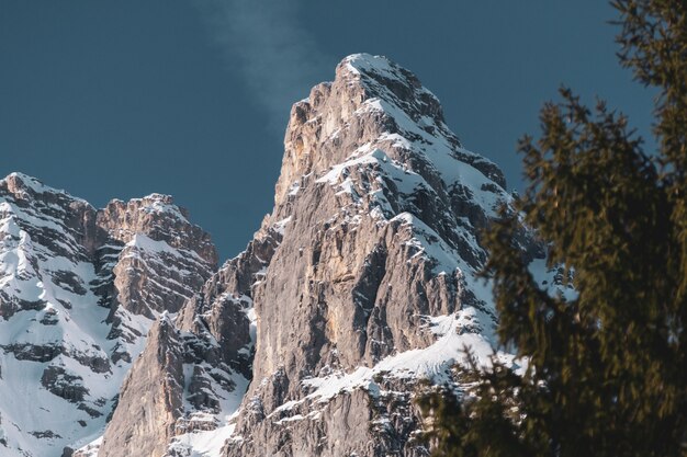 Inquadratura dal basso di una parte di una catena montuosa con alberi sottostanti in inverno