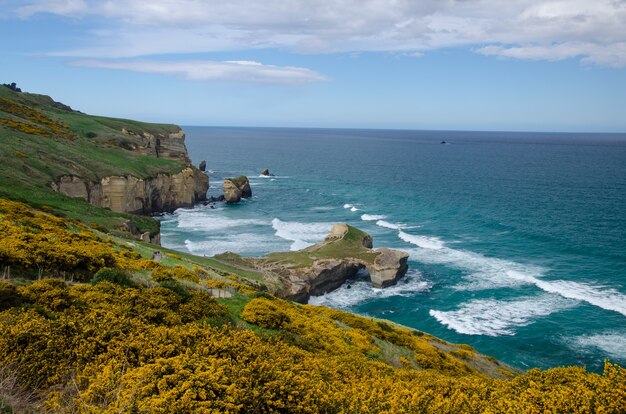 Inquadratura dall'alto della Tunnel Beach a Dunedin, Nuova Zelanda