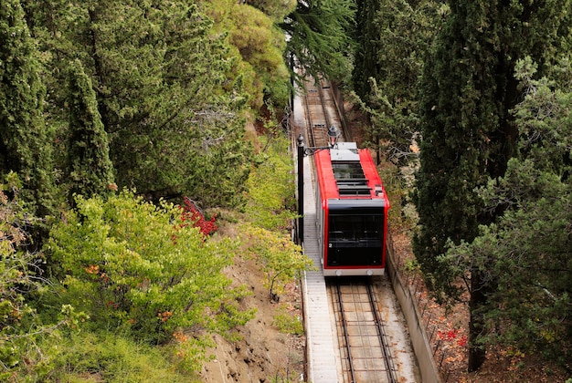 Inquadratura dall'alto di un treno sulle ferrovie nel mezzo di una foresta