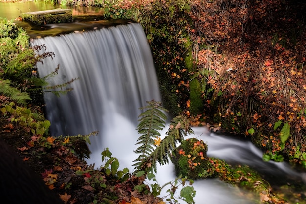 Inquadratura dall'alto di una cascata in una foresta a Karuizawa. Tokyo, Giappone