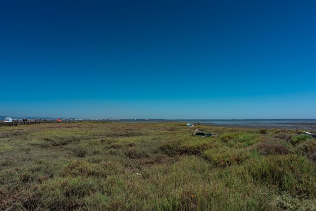Inquadratura del campo erboso accanto a una spiaggia a Cais Palafítico da Carrasqueira, Portogallo