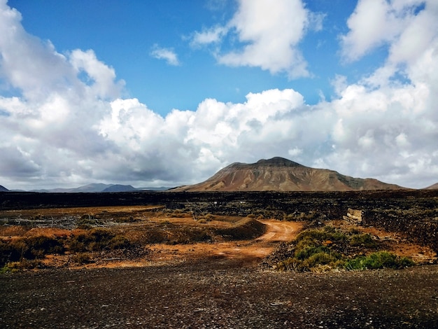 Inquadratura del deserto ricoperto di sabbia e cespugli a Fuerteventura, Spagna.