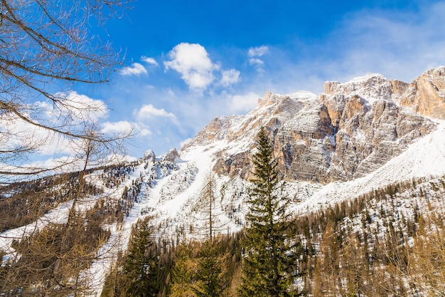 Inquadratura di un lento passaggio coperto di neve e abeti