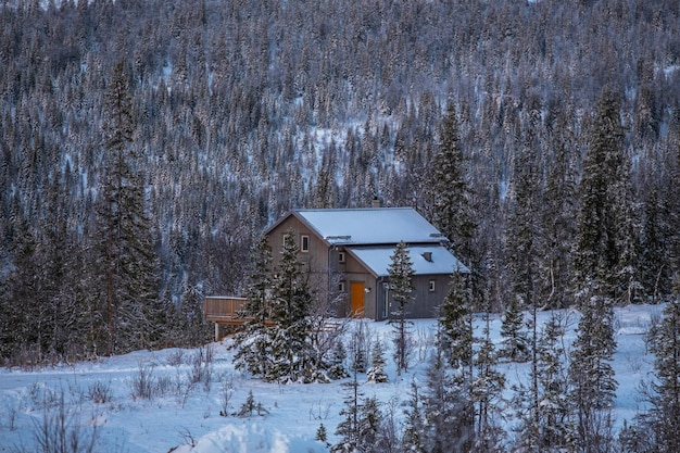 Inquadratura di una casa in legno in una foresta montuosa con fitti alberi in inverno