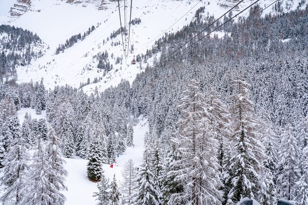 Inquadratura di una funivia sopra una foresta innevata su una montagna