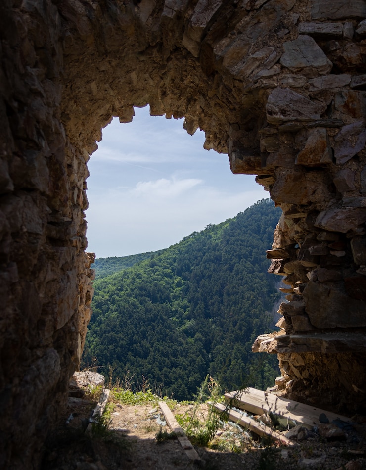 Foto gratuito inquadratura verticale di un muro che si apre con la splendida vista di una foresta di alberi sullo sfondo