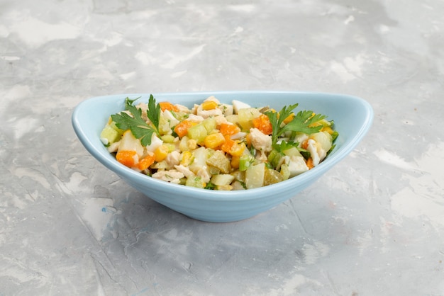 Insalata di vista frontale con insalata di verdure di pollo all'interno del piatto blu