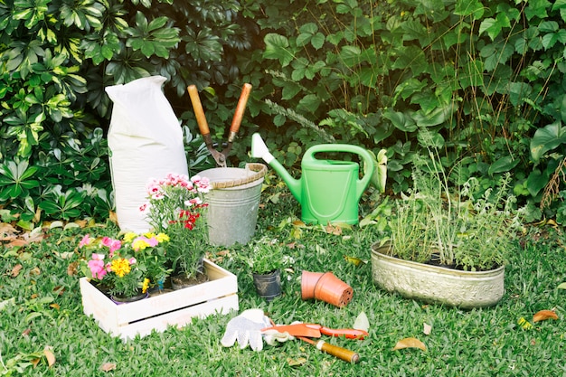 Inventario di giardinaggio con vasi di fiori su erba