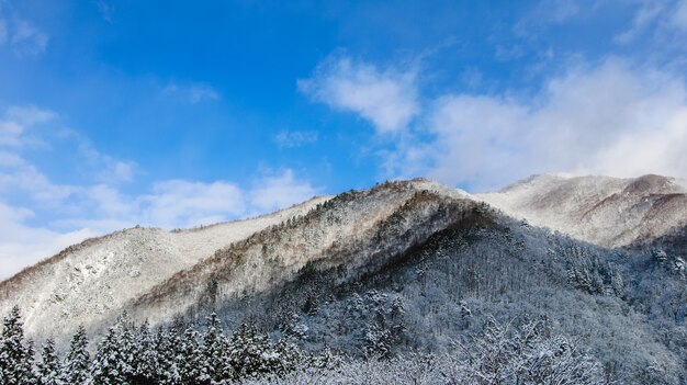 inverno scena all&#39;alba vertice fama