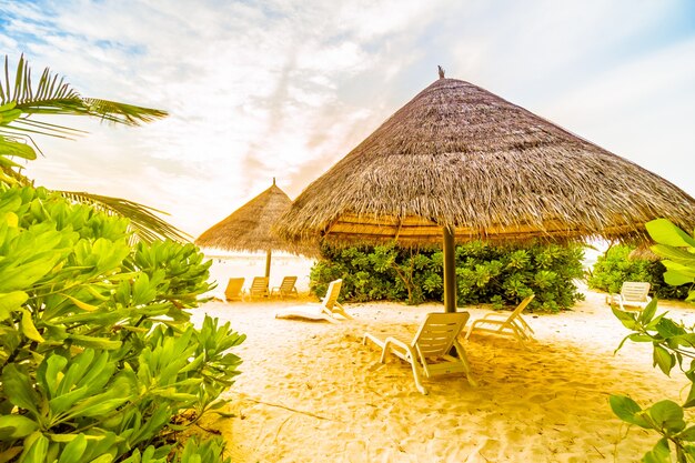 Isola delle Maldive