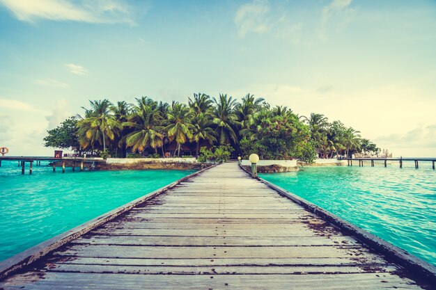 Isola delle Maldive