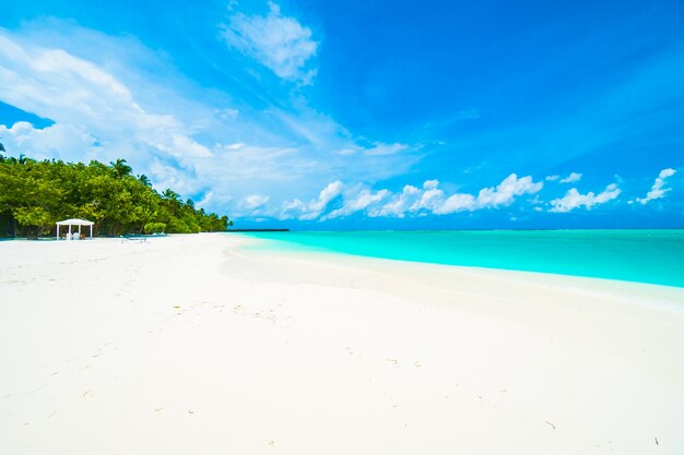 Isola delle Maldive