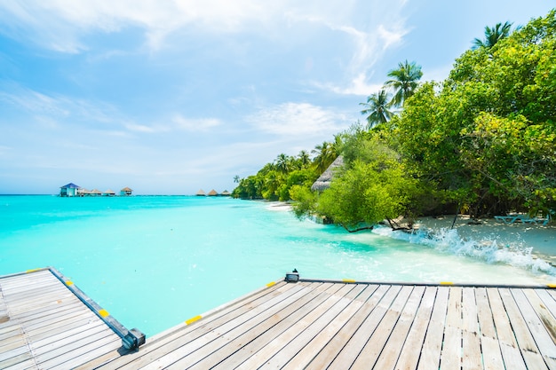 Isola delle Maldive