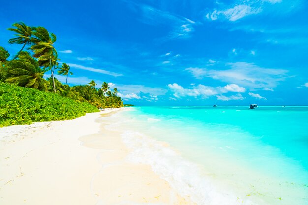 Isola delle Maldive