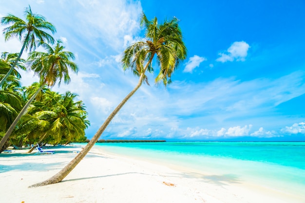 Isola delle Maldive