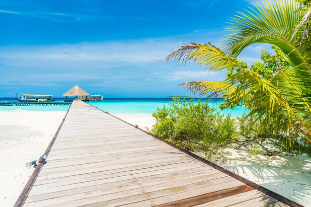 Isola delle Maldive