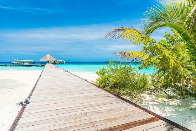 Isola delle Maldive