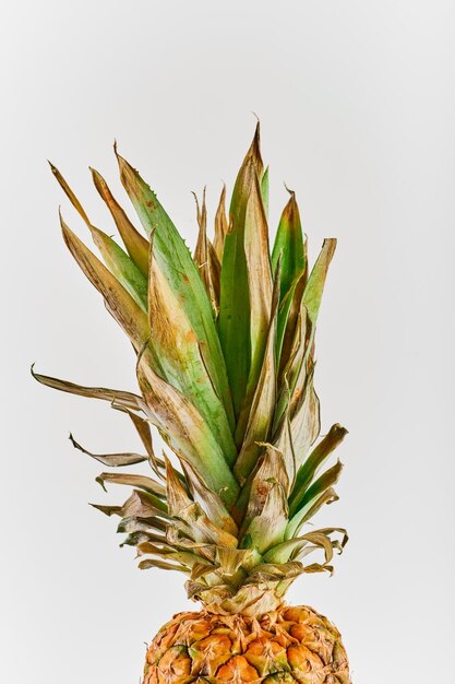 Isolato su sfondo bianco parte superiore dell'ananas Primo piano dell'ananas maturo Frutti succosi tropicali maturi Prospetto di consegna o idea volantino cornice verticale