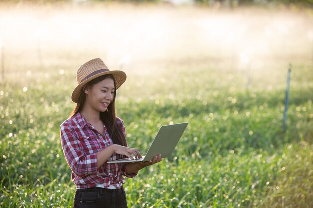 Ispezione della qualità dei giardini aromatici da parte degli agricoltori