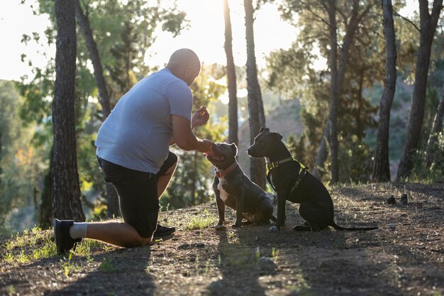 Istruttore che dà dolcetti ai cani durante la sessione