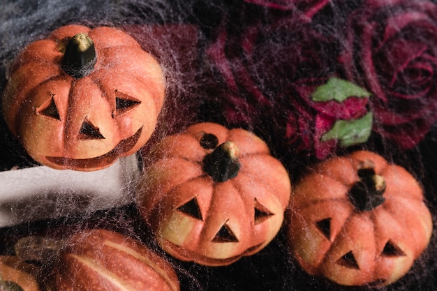 Jack-o'-lanterns con rose e ragnatela