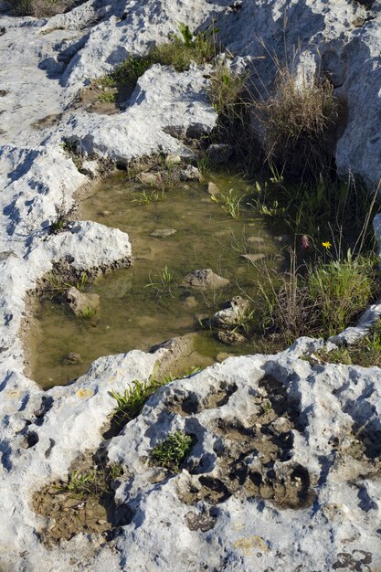 Kamenitza o piscina temporanea con acqua piovana