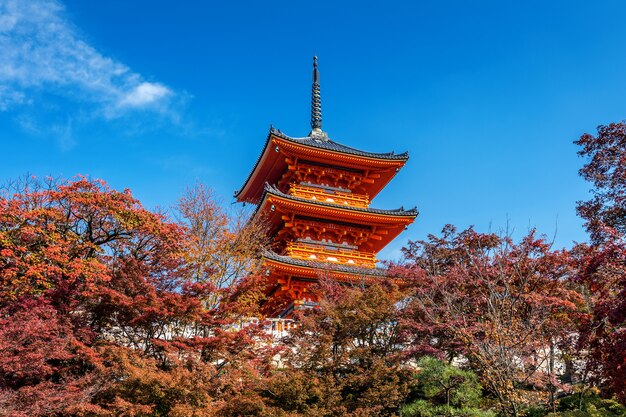 Kiyomizu-dera in autunno, Kyoto in Giappone.