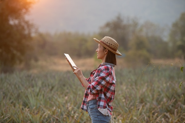 L'agricoltore femminile asiatico vede la crescita dell'ananas nella fattoria. Industria agricola, concetto di affari di agricoltura. Tecnologia innovativa per il sistema smart farm, occupazione degli agricoltori.