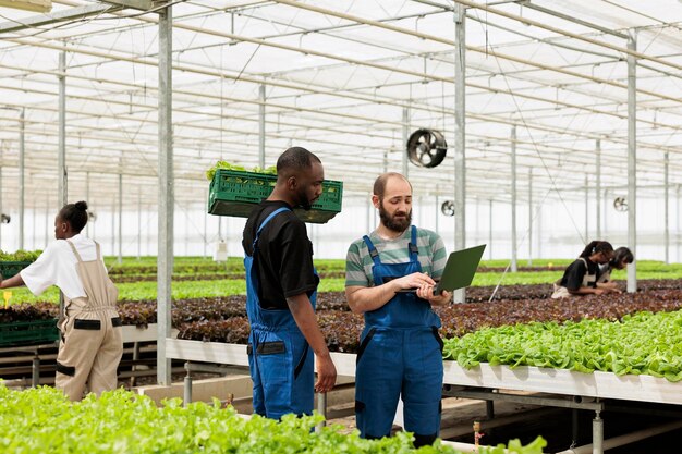 L'agricoltore in serra tiene il computer portatile che parla con il lavoratore afroamericano che tiene la cassa con lattuga fresca che parla della consegna. I coltivatori di piante biologiche si preparano a consegnare l'ordine online al cliente.