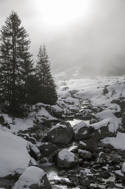 L'immagine verticale di un fiume innevato con molte pietre e rocce e alberi di pino sul lato