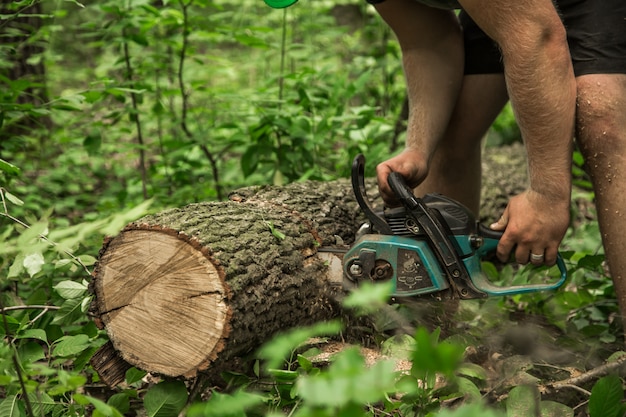 l'uomo con una motosega taglia l'albero