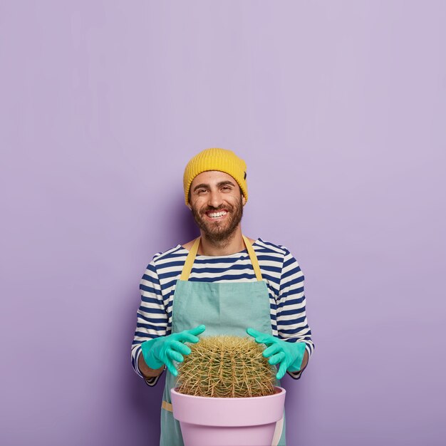 L'uomo felice coltiva cactus molto grandi a casa, tocca piante succulente, indossa guanti di gomma, uniforme, essendo interessato alla botanica